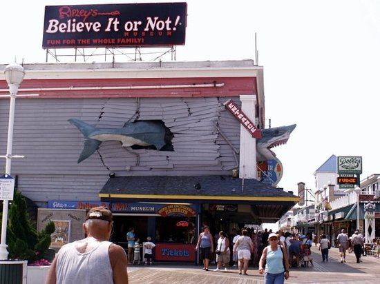 Ripley's Believe It or Not